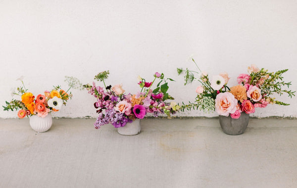 Medium, Seasonal Designers Choice