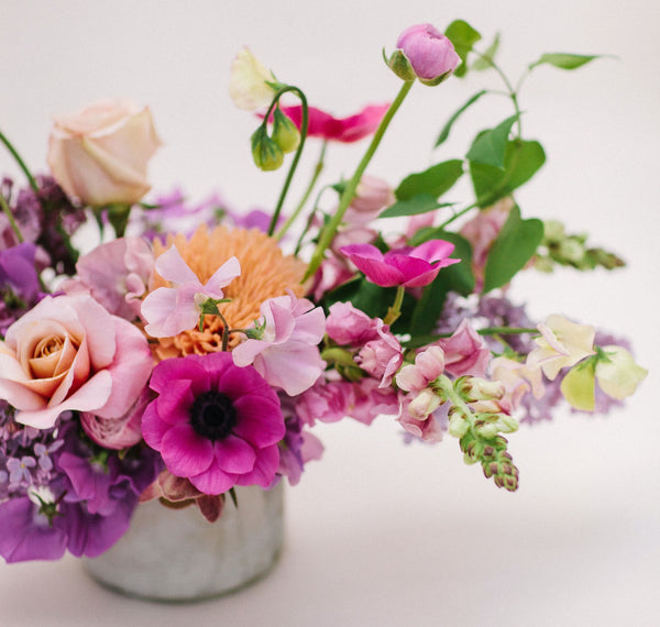 Medium, Seasonal Designers Choice