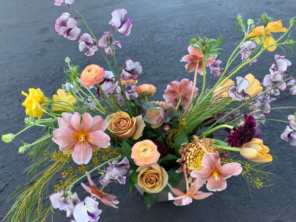 Premium Designer’s Choice, Seasonal Arrangement