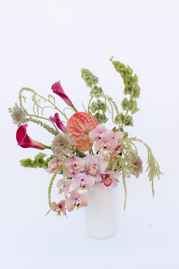 Wild Orchid