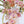 Wild Orchid