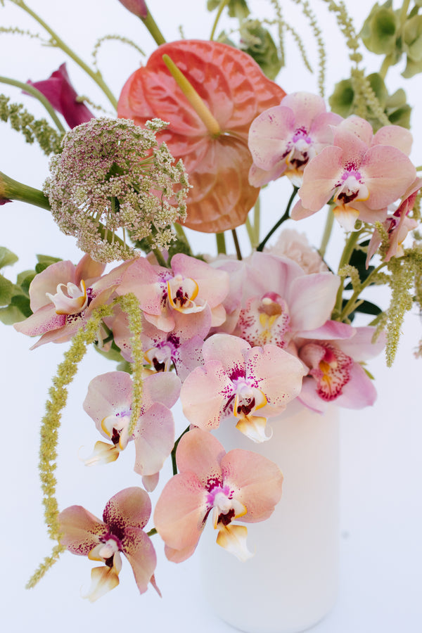 Wild Orchid