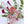 Wild Orchid
