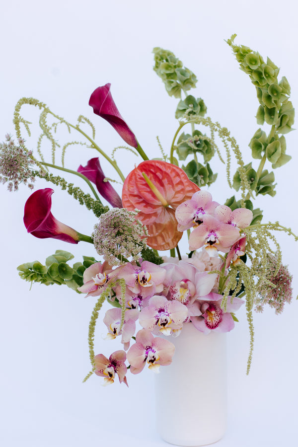 Wild Orchid