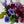 MOM’bre - Jewel tones