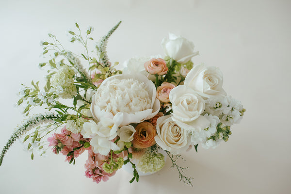 MOM’bre - Neutral + Classic