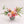 Large, Seasonal Designers Choice