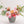 Large, Seasonal Designers Choice