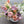 Premium Designer’s Choice, Seasonal Arrangement