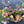 Premium Designer’s Choice, Seasonal Arrangement