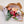 Seasonal Wrapped Bouquet