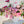 Premium Designer’s Choice, Seasonal Arrangement