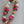 The Wild and Whimsy Lei